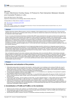 Protein Membrane Overlay Assay