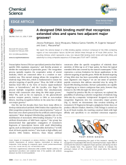 A designed DNA binding motif that recognizes extended sites and