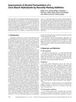 Improvement of Alcohol Fermentation of a Corn Starch