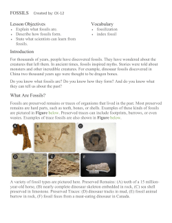 Index Fossils