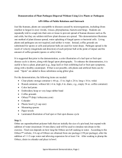 Spore Demonstration Instructions