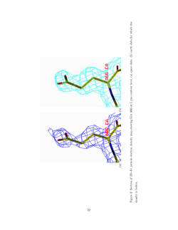 a   b  Figure 3: Section of 2F o-Fc protein electron density map