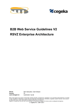 B2B Web Service Guidelines V2