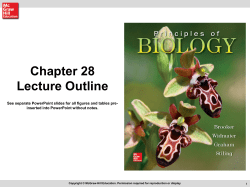 Chapter 28 Flowering Plants: Behavior Overview of Plant Behavioral