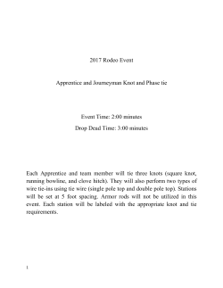2017 Rodeo Event Apprentice and Journeyman Knot and Phase tie