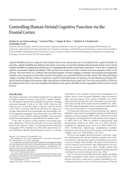 Controlling Human Striatal Cognitive Function via the Frontal Cortex