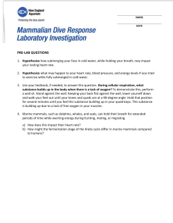 Marine Mammal Dive Response - Student Pre