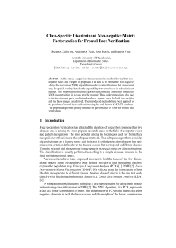 Class-Specific Discriminant Non-negative Matrix Factorization for