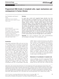 Programmed DNA breaks in lymphoid cells