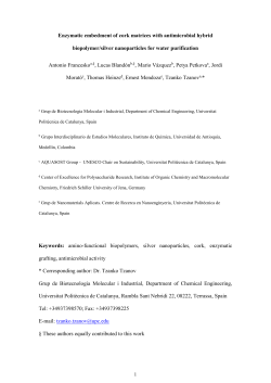3.3. Antimicrobial activity of AgNPs-embedded cork