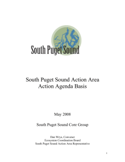 South Puget Sound Action Area - Tacoma