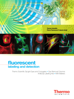 fluorescent - Thermo Fisher Scientific