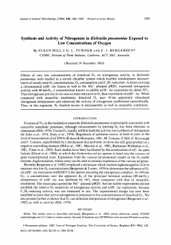Synthesis and Activity of Nitrogenase in Klebsiella
