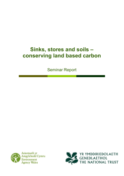 Sinks, stores and soils &oelig; conserving land based carbon
