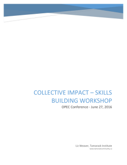 Collective Impact * Skills Building Workshop