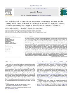 Effects of inorganic nitrogen forms on growth, morphology, nitrogen