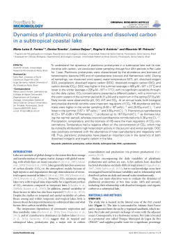 Dynamics of planktonic prokaryotes and dissolved carbon