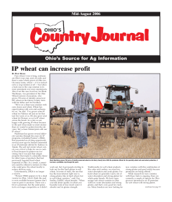 IP wheat can increase profit