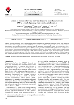 Control of Tomato yellow leaf curl virus disease