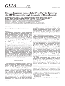 Glucose increases intracellular free Ca2+ in tanycytes via ATP
