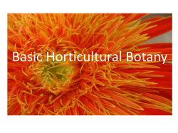 Basic Horticultural Botany