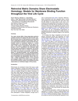 Retroviral Matrix Domains Share Electrostatic Homology