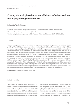 Grain yield and phosphorus use efficiency of wheat and