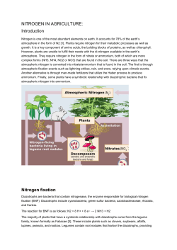 Nitrogen in agriculture