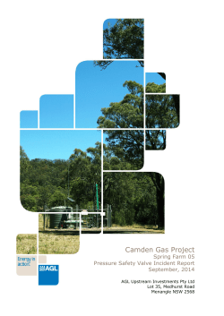 Camden Gas Project