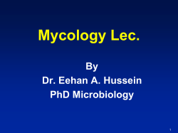 Characteristics of Fungi