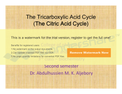 The Citric Acid Cycle The Citric Acid Cycle The Citric Acid Cycle