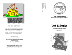 Leaf Collection - City of Waynesboro