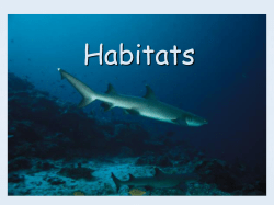 Animals and their habitats