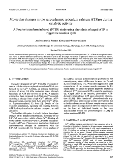 Molecular changes in the sarcoplasmic reticulum calcium ATPase