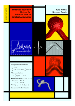 Immersed Boundary Method for Pulsatile Flow in Cerebral