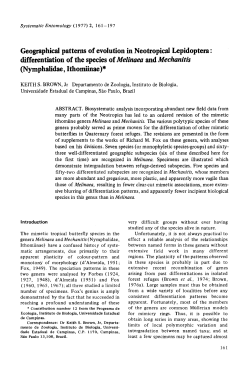 Geographical patterns of evolution in Neotropical Lepidoptera