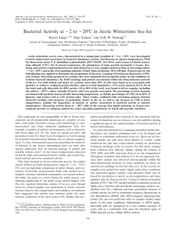 Bacterial Activity at 2 to 20&deg;C in Arctic Wintertime Sea Ice