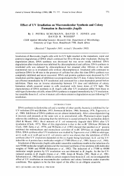 Effect of UV Irradiation on Macromolecular Synthesis