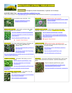 greens - The Wild Foodies of Philly