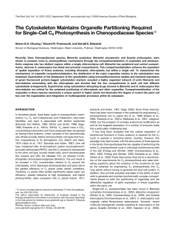 The Cytoskeleton Maintains Organelle Partitioning