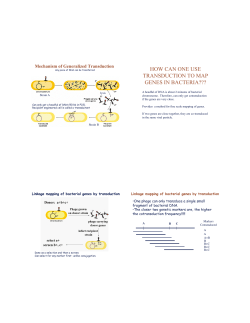 how can one use transduction to map genes in bacteria???