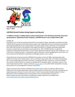 LADYBUG Brand Produce Going Organic and Beyond