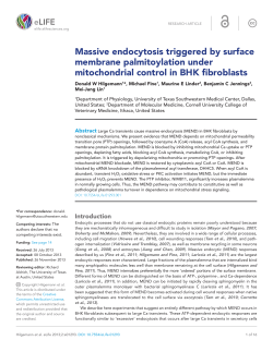 Massive endocytosis triggered by surface membrane palmitoylation