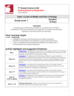 Photosynthesis and Respiration