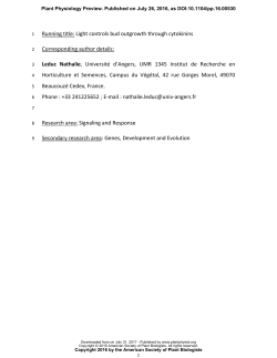 Cytokinins are initial targets of light in the control