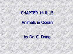 Chapter 15: Animals of the benthic environment