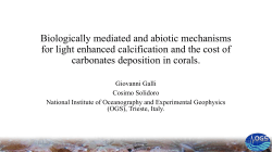 Biologically mediated and abiotic mechanisms for light enhanced