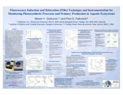 Fluorescence Induction and Relaxation (FIRe)