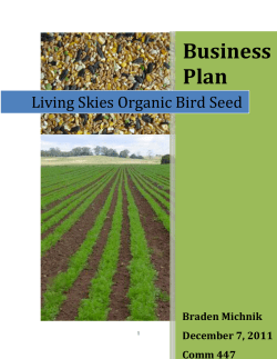 Living Skies Bird Seed - Edwards School of Business