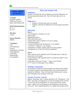 Plant and Animal Cells Summary Objectives Materials Making